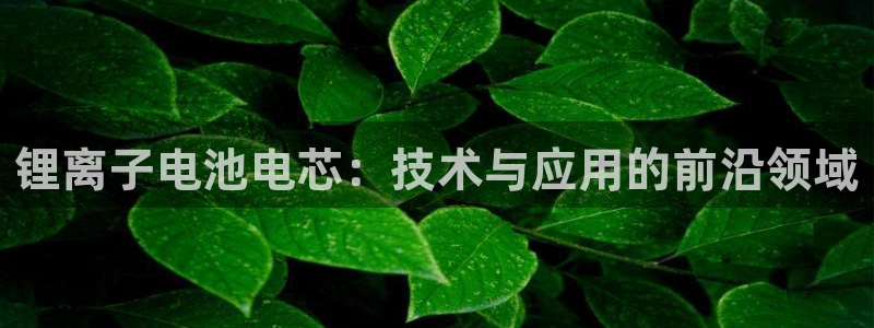 tp钱包购买新币教程