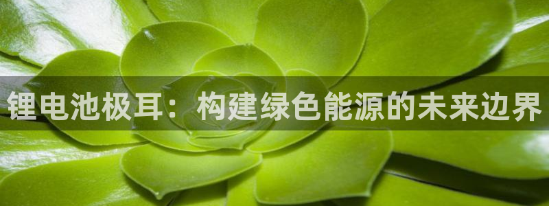 tp钱包被盗了最简单三个步骤