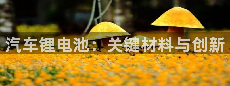 tp钱包官网网址