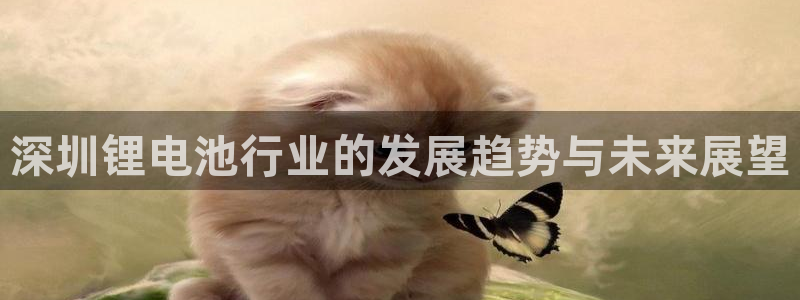 tp钱包被盗追回的几率大吗