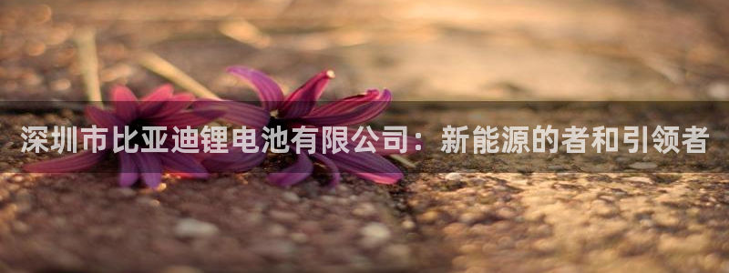 tp钱包官方网免费下载