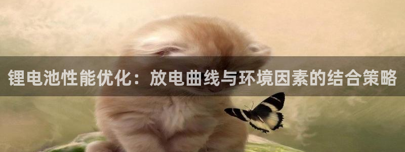 tp钱包官网下载tp钱包
