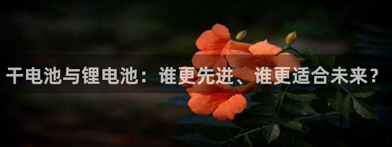tp钱包官网下载app最新版本儿