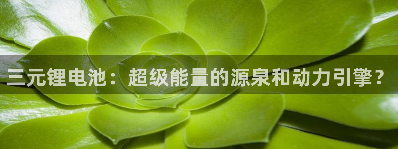 钱包tp官方在哪可以下载