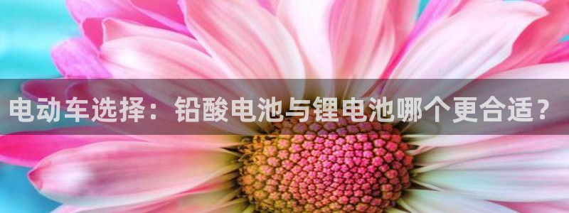 TP钱包官方网站地址