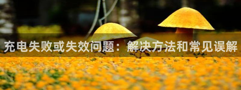 tp钱包口令