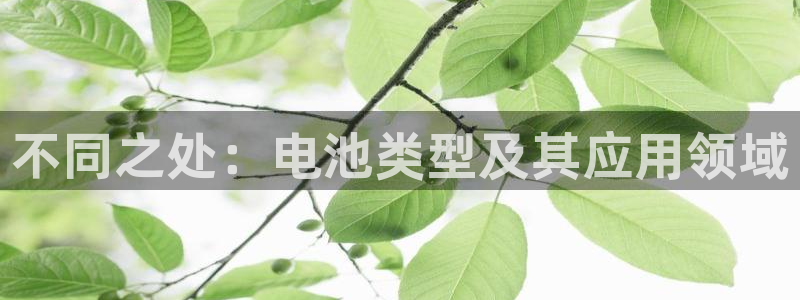tp 钱包下载安装