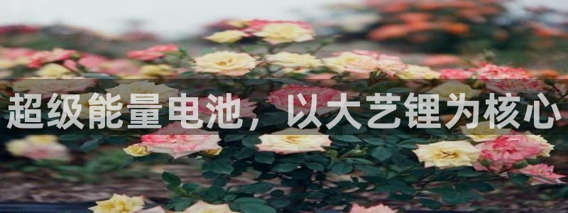tp钱包 高级备注