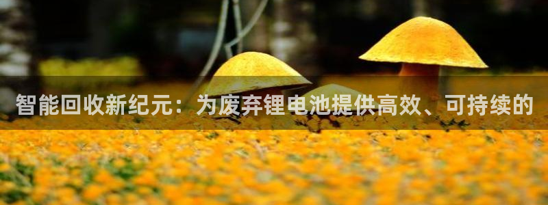 tp钱包买的货币可靠吗?