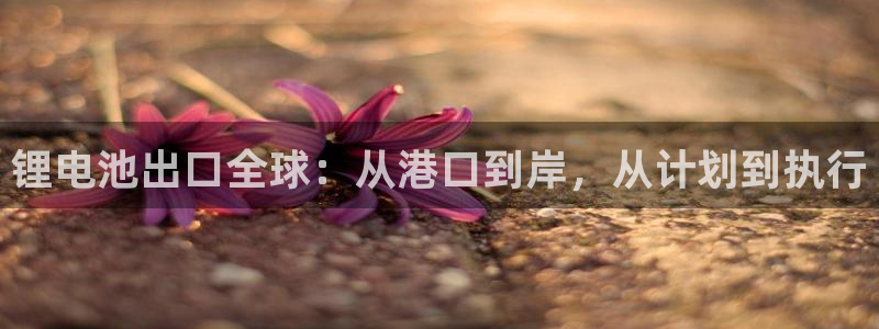 tp钱包客服在哪里找