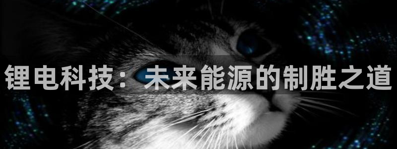 tp钱包官网下载官网APP下载