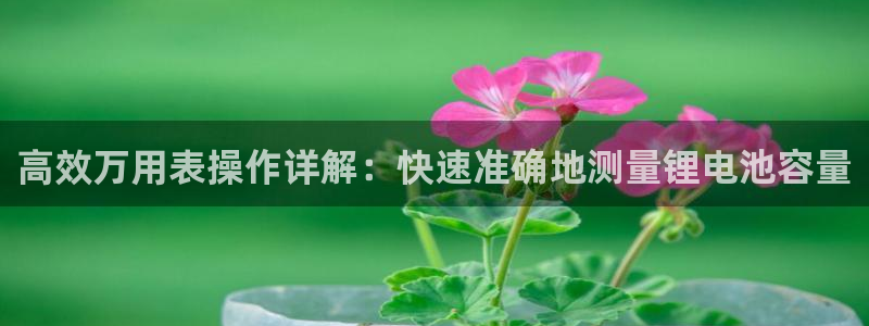 tp钱包如何买pig