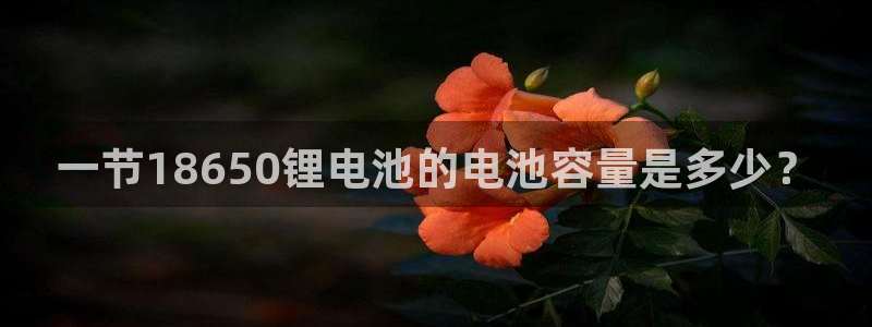 tptp下载不了