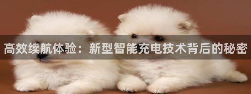 TP钱包马蹄链的图标