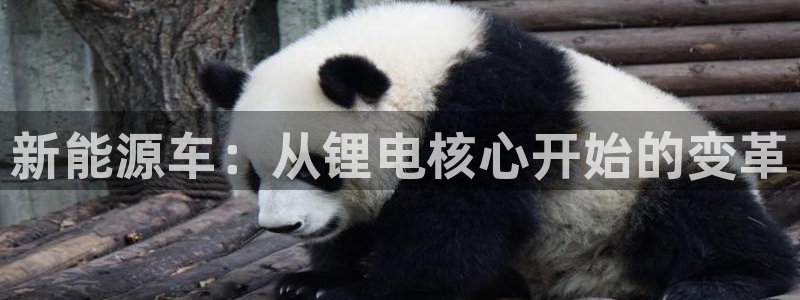TP钱包如何用私钥找回助记词