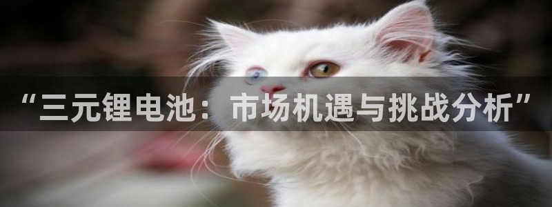 tp钱包提不出来