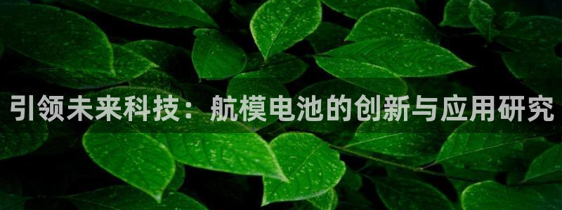 怎么用tp钱包看别人的钱包