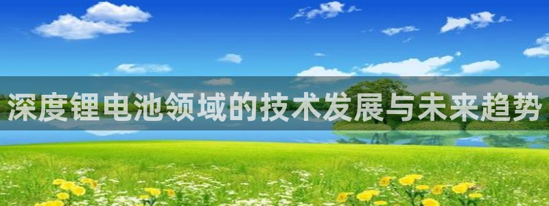 tp钱包里面的币怎么找回