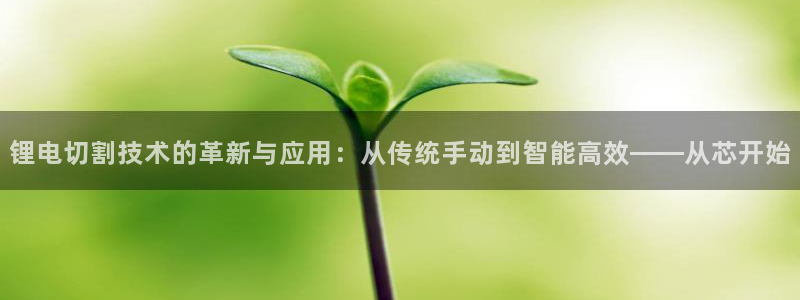 tp下载钱包