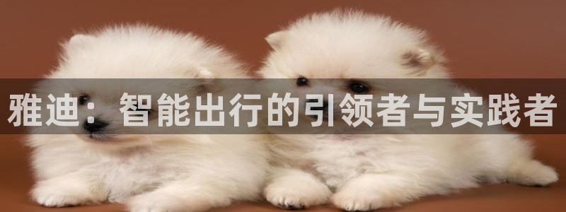 tp钱包bnb换U