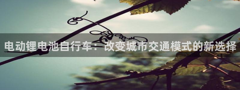 tp钱包被盗了怎么找客服