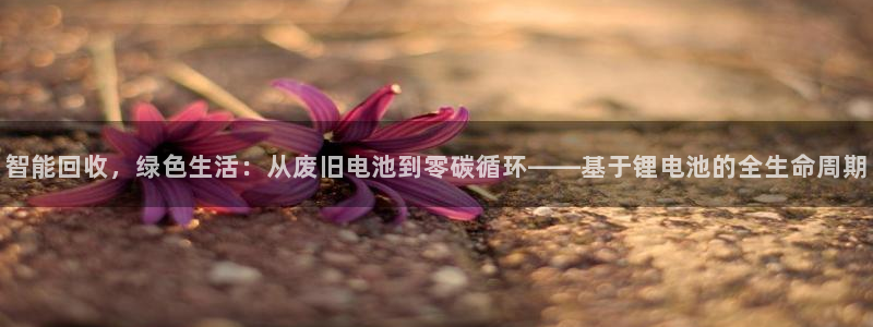 tp钱包交易数据不更新