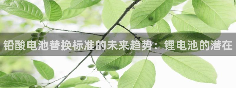 tp钱包怎么换bnb