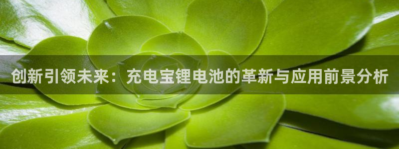 tp钱包找回