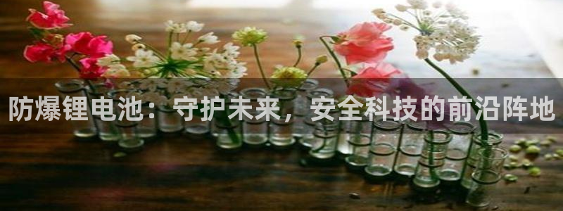 tp钱包如何注册：防爆锂电池：守护未来，安全科技的前沿阵地