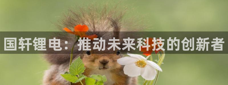 TP钱包官网下载显示不安全：国轩锂电：推动未来科技的创新者