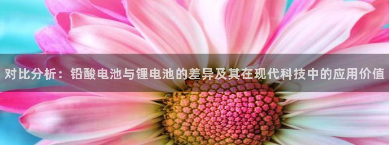 tp观察钱包的资产怎么转出