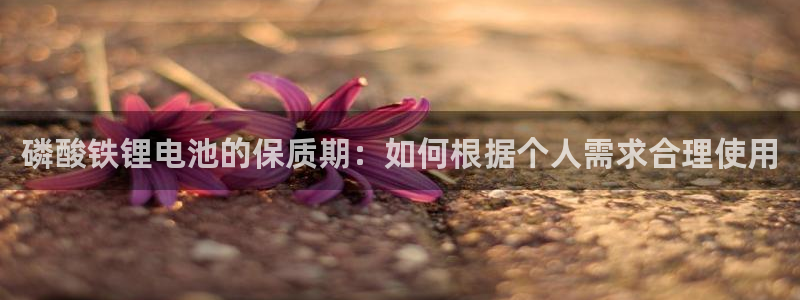 TP钱包官网下载安卓版：磷酸铁锂电池的保质期：如何根据个人需求合理使用