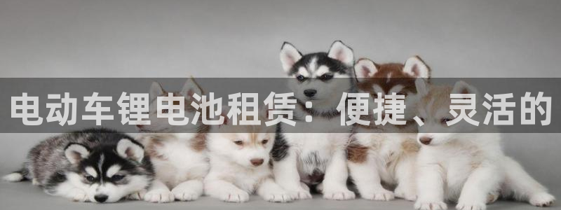 tpatpa加速器：电动车锂电池租赁：便捷、灵活的
