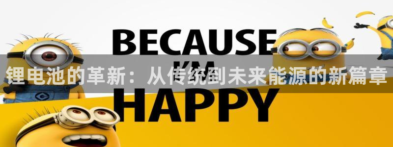 tp钱包转账记录没有币：锂电池的革新：从传统到未来能源的新篇章