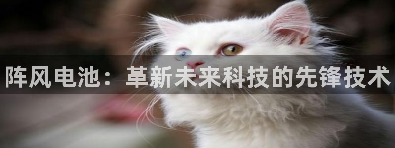 tp钱包怎么找回空投的币
