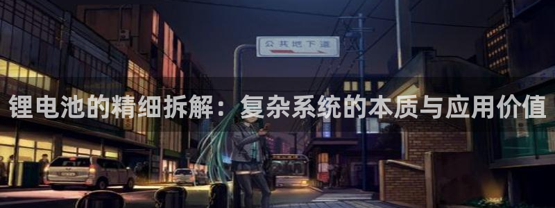 tp钱包账号怎么看：锂电池的精细拆解：复杂系统的本质与应用价值