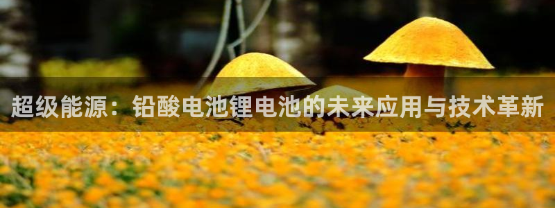 tp钱包邀请好友有什么奖励吗：超级能源：铅酸电池锂电池的未来应用与技术革新