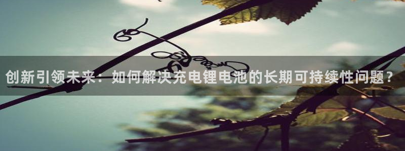 tplogin.cnapp官网：创新引领未来：如何解决充电锂电池的长期可持续性问题？