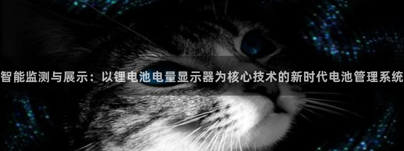 tp钱包下载app安卓版1.7.8：智能监测与展示：以锂电池电量显示器为核心技术的新时代电池管理系统