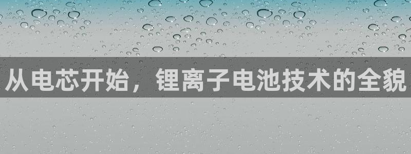 tp钱包最新版本下载v5.0：从电芯开始，锂离子电池技术的全貌