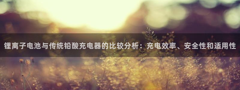 tp钱包冷钱包怎么注册：锂离子电池与传统铅酸充电器的比较分析：充电效率、安全性和适用性