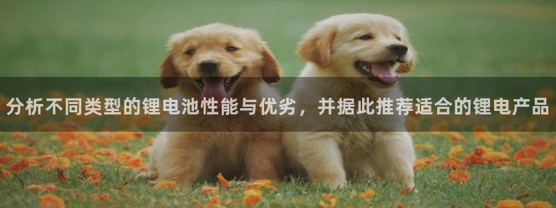 tp钱包可以直接买币吗：分析不同类型的锂电池性能与优劣，并据此推荐适合的锂电产品