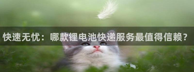 tp钱包怎么添加bsc链