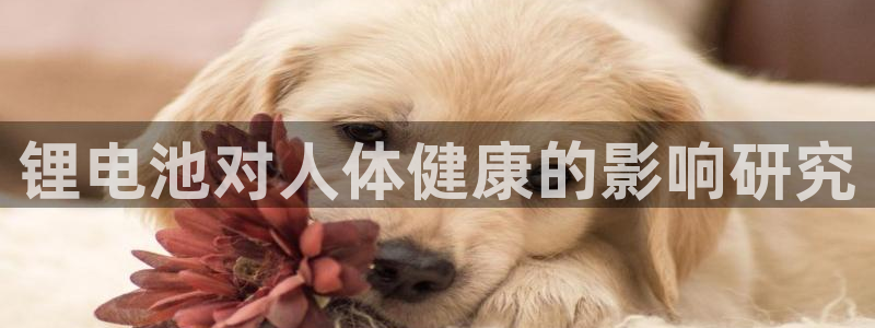 tptp下载官方安装nu