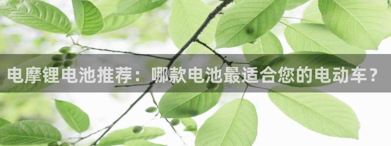 tp钱包有什么好处吗