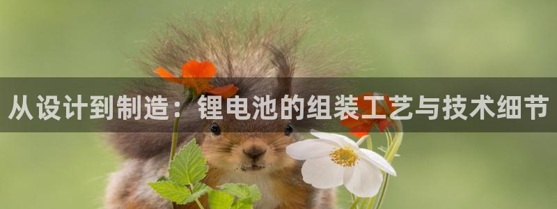 tp钱包怎么usdt：从设计到制造：锂电池的组装工艺与技术细节