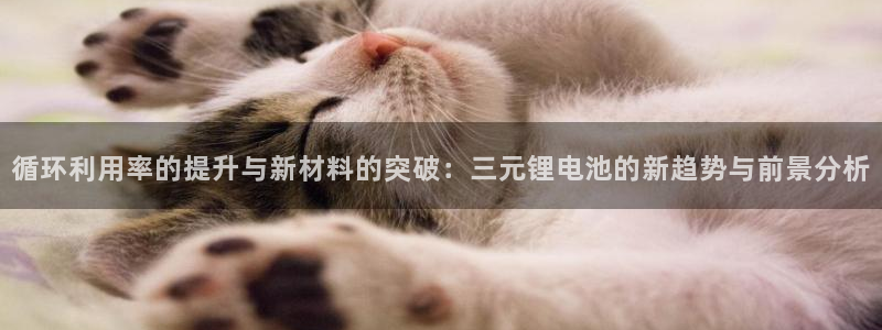 TP钱包官网下载app最新版本_tp钱包官方：循环利用率的提升与新材料的突破：三元锂电池的新趋势与前景分析