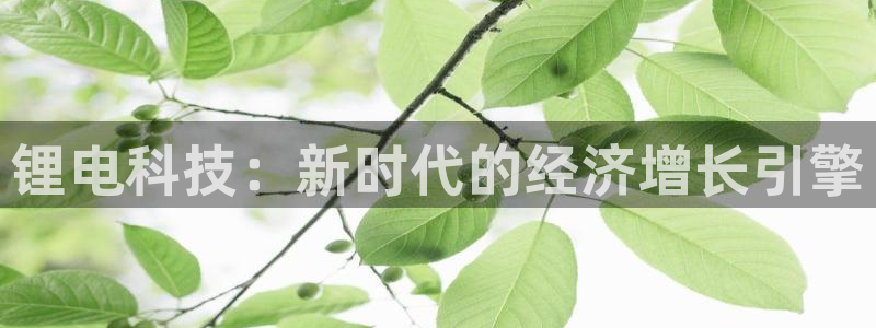 tp钱包官方下载安卓最新版本：锂电科技：新时代的经济增长引擎