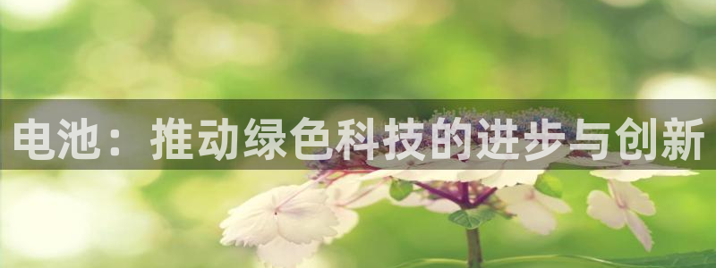 tp 钱包购买mctp节点：电池：推动绿色科技的进步与创新