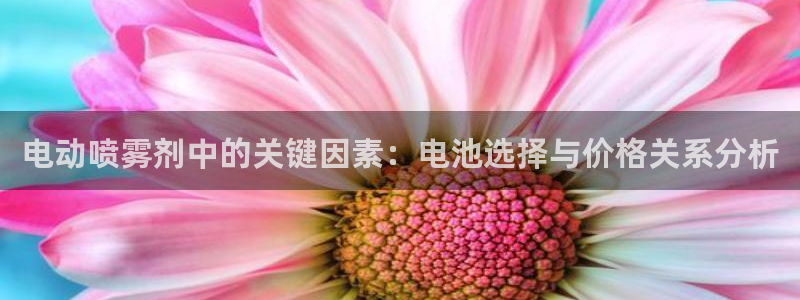 tp钱包安卓版：电动喷雾剂中的关键因素：电池选择与价格关系分析